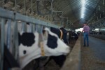 Poljoprivredni krediti (ne)moguća misija - rješenje je agrobanka?