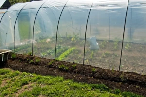 Raspisan poziv za dodjelu plastenika, ustupljeno i zemljište za proljetnu sjetvu