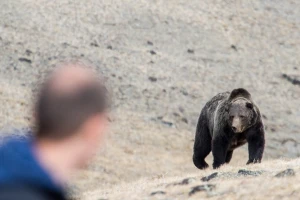 Medvjed napao pastira na Vlašiću, ljekari mu pokušavaju spasiti nogu