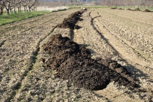 Stajnjak na njivi: Kako smanjiti gubitke hranjivih materija?