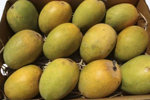 Brazilski mango zaustavljen na bh. granici zbog pesticida