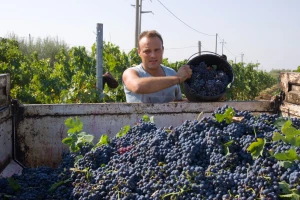 Bugarski vinogradari blokirali ceste zbog niskih otkupnih cijena grožđa