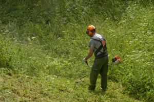 Na koji način pokositi travu u brdskim područjima?