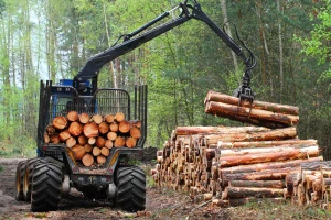 Smijenjeni direktori šumskih gazdinstava u Višegradu i Rudom