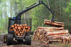 Otkriveno: Tri osobe šumskom gazdinstvu pričinile štetu od 240.000 KM?