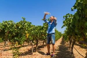 Vrelo bablje ljeto u septembru - čekaju nas nadprosječne temperature