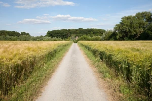 Evropska komisija je predstavila inicijativu Ruralni pakt