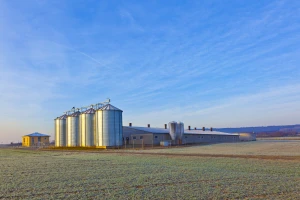 Niske dnevne temperature ne utiču na žitarice, one se dobro razvijaju