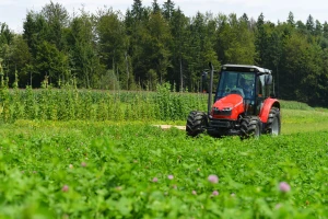 Košenje lucerke - kada i kako? Evo korisnih savjeta