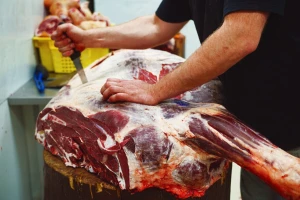 Zabranjuju izraze šunka i kobasica za proizvode od biljnih proteina