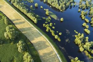 Hemijska zaštita bilja bit će zabranjena u Natura 2000 područjima: Upitna proizvodnja žitarica?
