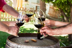 U Irskoj će sva alkoholna pića imati upozorenje o raku - čega se boje EU vinari?