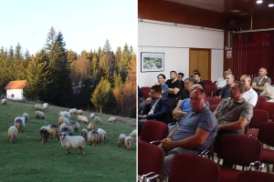 Ovčari i svinjari upoznati s novim mjerama na farmama: Može se opstati!