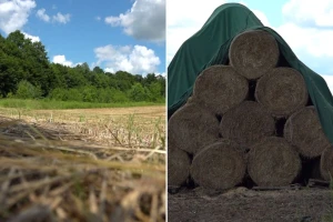 Dobra godina za stočare: Farmeri već skinuli nekoliko otkosa