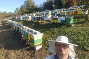 Kako odabrati pravo mjesto za smještanje pčelinjaka?