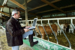 Slaba iskorištenost sredstava iz EU fonda za ruralni razvoj