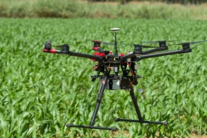 Farmeri berači podataka: Slijedi neviđena kontrola nad europskim poljima?
