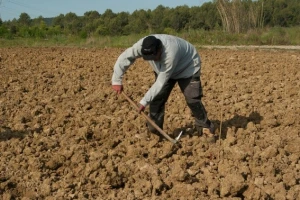 Farmeri, ribari i šumari najskloniji samoubojstvu!