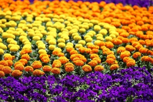 53. međunarodna vrtna izložba Floraart na zagrebačkom Bundeku