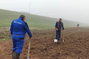 Počelo pošumljavanje zaštitnog pojasa duž savskog nasipa