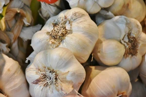 Pripremio za prodaju, javio kupcima, a onda mu ukrali 400 kg eko bijelog luka