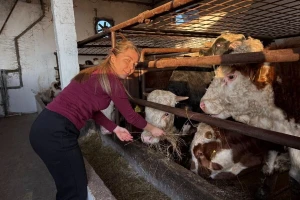 Jednostavan koncept za tov bikova i svinja znaju Gajići