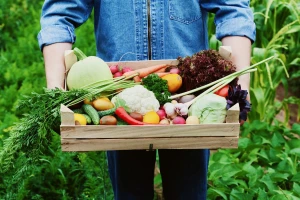 Poljoprivreda bez GMO - šansa za ruralni razvoj