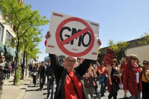 Nobelovci: Zaustavite kampanju protiv GMO-a!