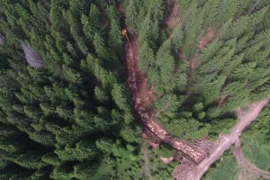 Dobro očuvane šume otvaraju nova radna mjesta