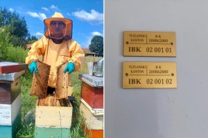Hodžić: U TK imamo oko 40.000 košnica, na svakoj će biti zakucan broj