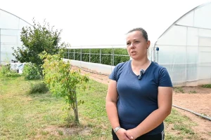 Ilda Begović iz Visokog: Krenula sam od nule, a danas imam tri plastenika i širim proizvodnju