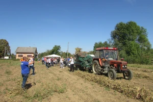 Zadruga Agronova: Naš pasulj je veoma kvalitetan i interesantan za restorane