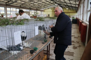 Priča o Caru i pomeranskom gušanu: "Svi me pitaju ima li zarade"