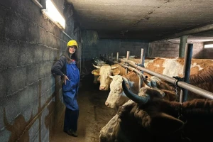 Belkisa prije škole završi poslove u štali, sanja diplomu veterinara i veliki traktor