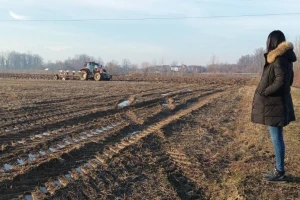 Soja bez GMO u BiH od njive do tržišta: "Koristi su višestruke"
