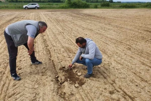 Prinosi žita ove godine iznad prosjeka, otkupna cijena još uvijek nepoznata