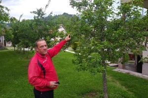 Ivan Kurevija: Voćnjak održavam uz stručnu pomoć brata i njegovih savjeta