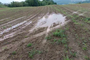 Loše vijesti za poljoprivrednike: Obilne padavine sredinom sedmice