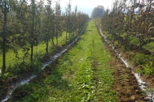 Pred nama hladna sedmica, ponegdje će biti i cjelodnevni minus