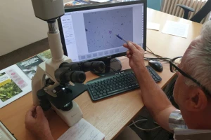 Kreće nova sezona mjerenja polena, stručnjaci će redovno izvještavati sve koji su alergični