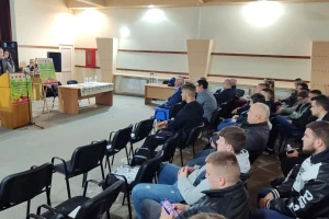 Kasni mrazevi mijenjaju pravila: Koje sorte šljive preporučuju stručnjaci?