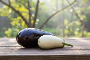 Koja je razlika između bijelog i ljubičastog patlidžana?