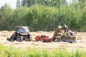 Koliko bi ove godine trebala koštati bala sijena - sve ispod 4 KM je gubitak?