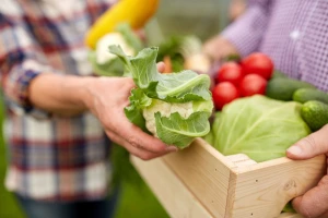Pooštrene kontrole na GMO u hrani