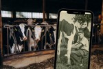 Zašto farme moraju imati VKB broj?