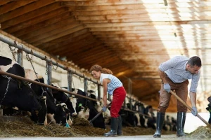 Pomoć za obrte u iznosu od 60 miliona KM, koji su uslovi dodjele?