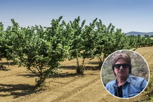 Alen Islamović: Za moje lješnike zanima se i Ferrero Rocher