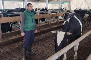 Prvi čovjek Mljekara Republike Srpske prodaje krave: 23 grla otišlo u Federaciju BiH