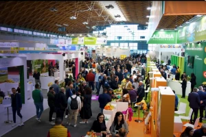 Macfrut 2024.: Šta je u fokusu 41. izdanja talijanskog sajma voća i povrća?