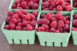 Malinari prenoćili ispred Natural Food-a